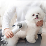 Fast drying pet hair dryer for fluffy coats