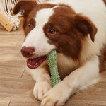 Interactive dog chew toy designed for teeth cleaning and plaque removal.