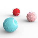 Interactive rolling cat ball toy helping kittens stay active and engaged